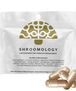 SHROOMOLOGY – 4 COUNT PILL SAMPLE PACK