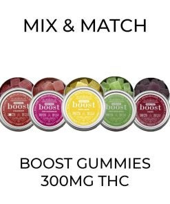 5 Pack Boost Gummies (300mg) - Mix and Match