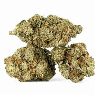 Motor Breath #15 (AAAA)
