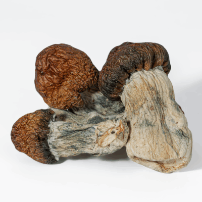 Blue Pulaski Mushrooms