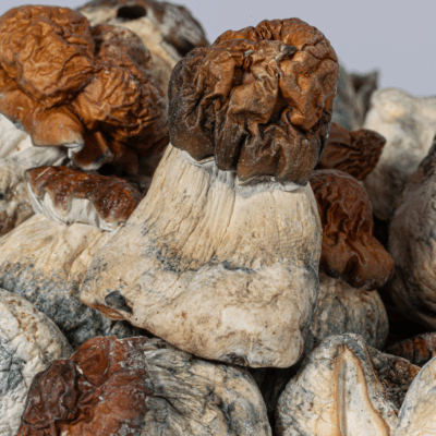 B+ Mushrooms