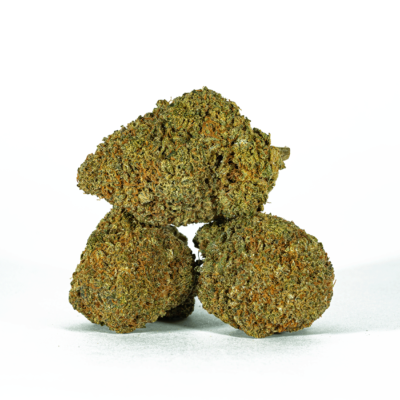 Beaver Tail (AA+)