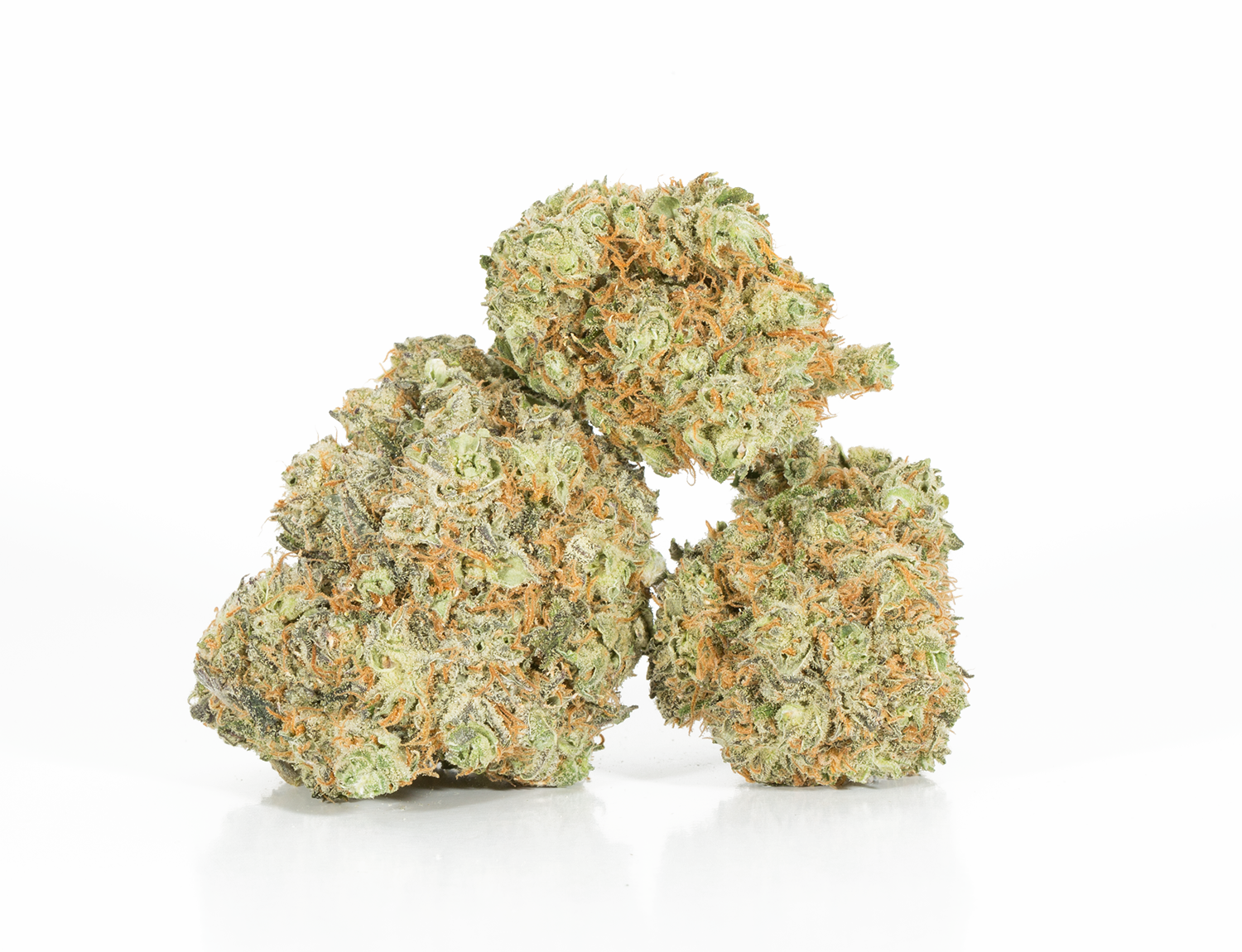 Blackberry x Blueberry (AA+) Blackberry x Blueberry (AA+)