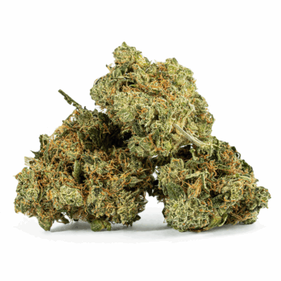 Cali Bubba (AA)