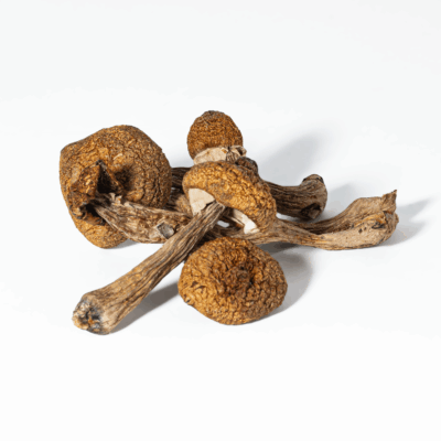 Super Thai Mushrooms