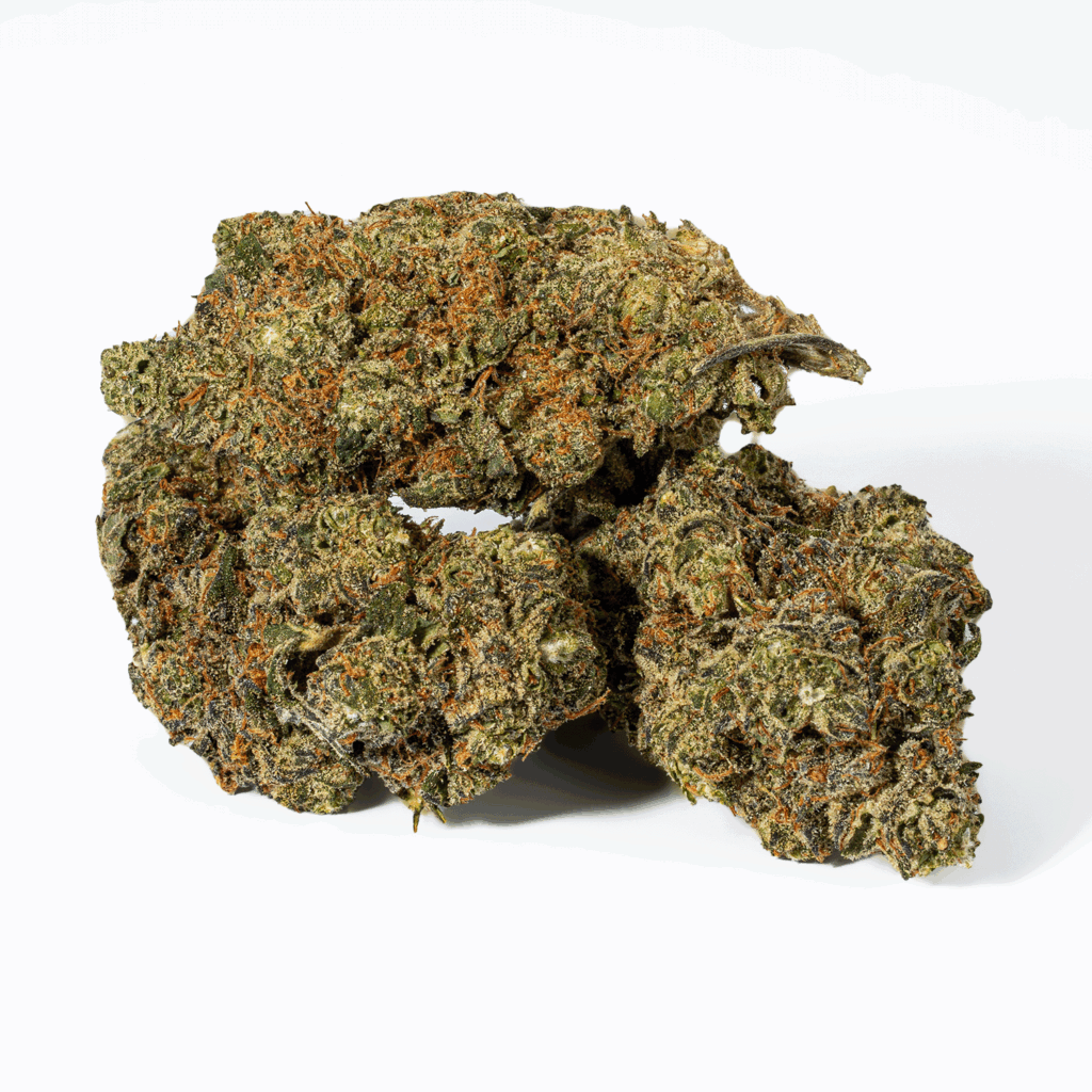 GCO