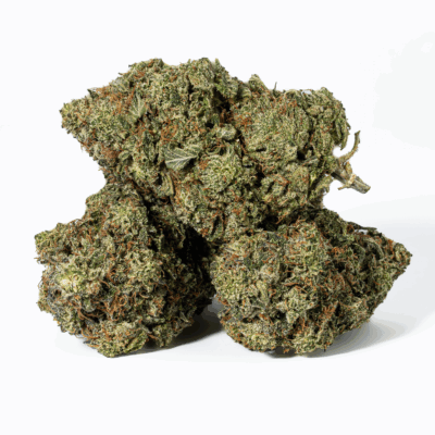 Champagne Pink (AAAA)