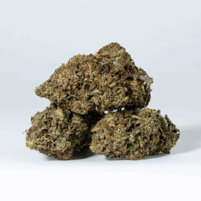 Platinum Glue (AAA+)