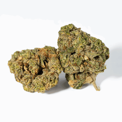 98 Lemon Haze (AA)
