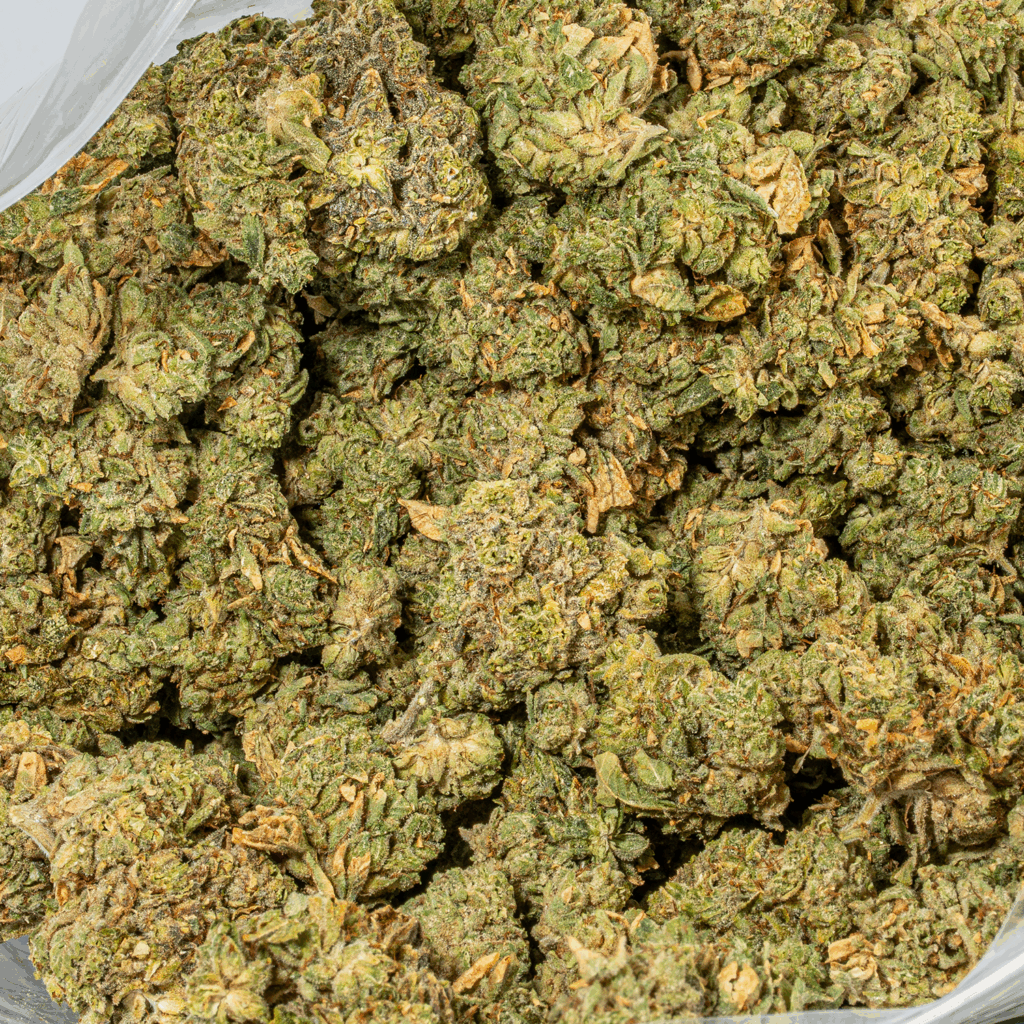 GCO