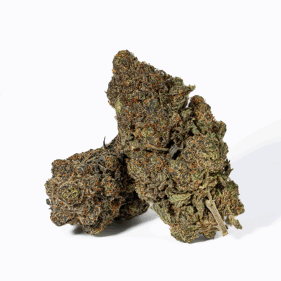 Grunk Panda (AAAA)