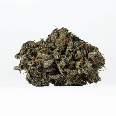 Gas Daddy (AAAA)