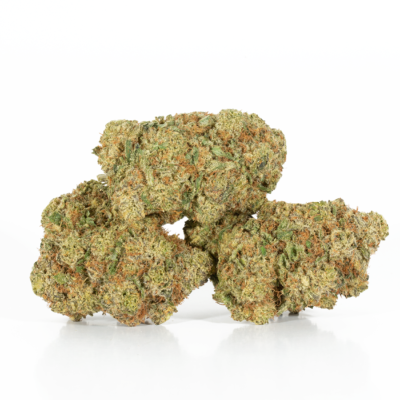 Gelato (AAA+)