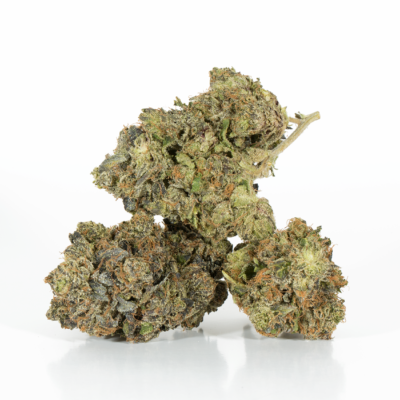 Master Bubba (AAA+)