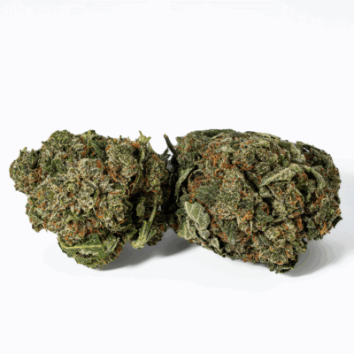 Bubba Kush (AA+)