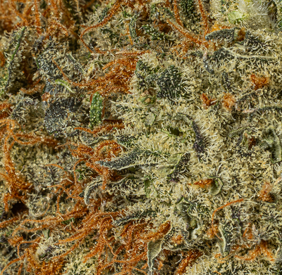 Blackberry Moonrocks (AAA)