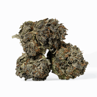 Gas Mask (AAAA)