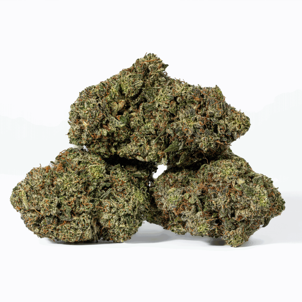 GCO