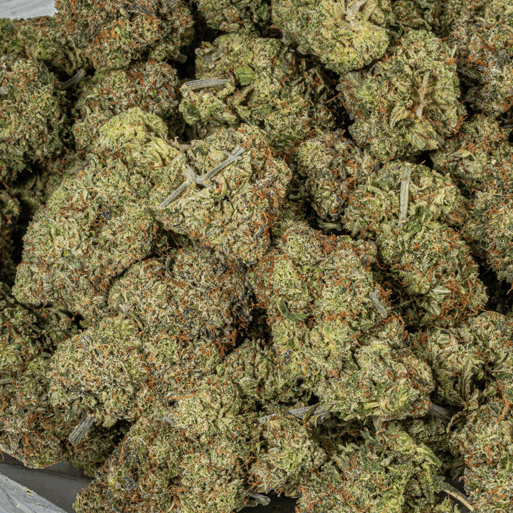 GCO