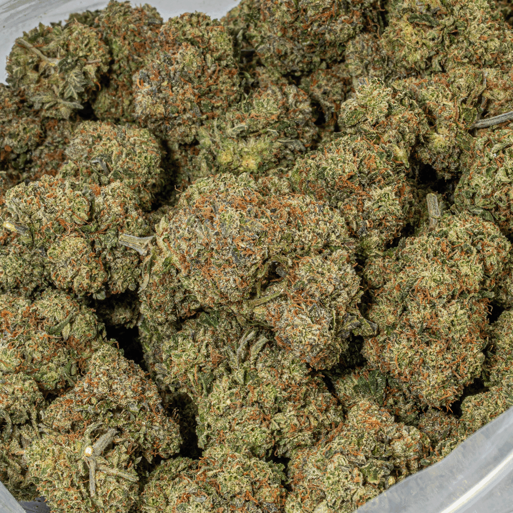 GCO