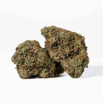 Gorilla Pink (AAA+)