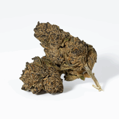 Purple Pinecone (AA+)