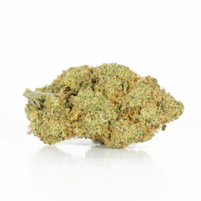 Rocket Fuel (AAA+)