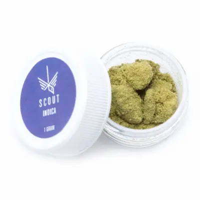 Scout - Kief (1g) - Barbara Bud Blonde