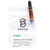Social - Honey Oil Cartridge (1ML) - Hybrid