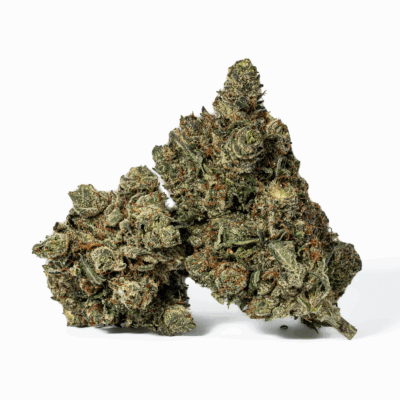 Purple Aurora (AAA+)