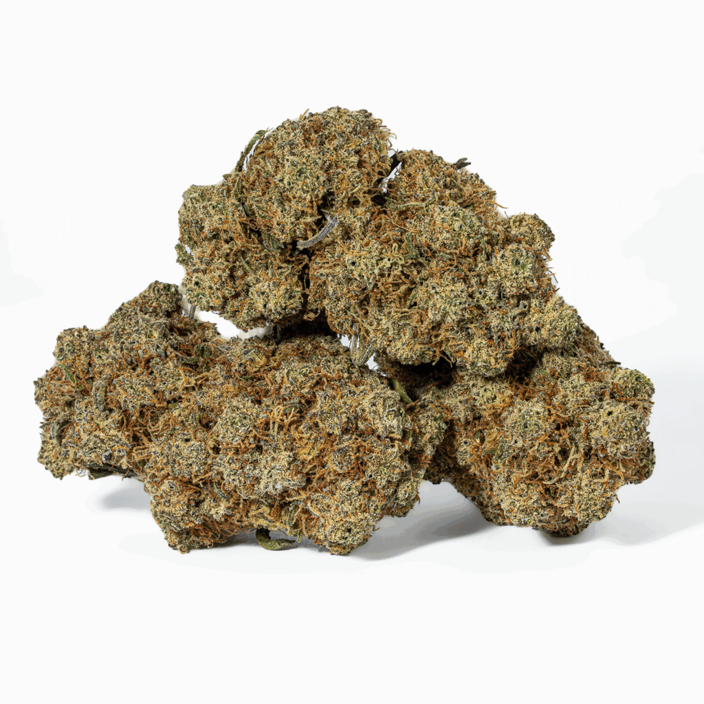 GCO