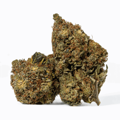 Island Sweet Skunk (AA)
