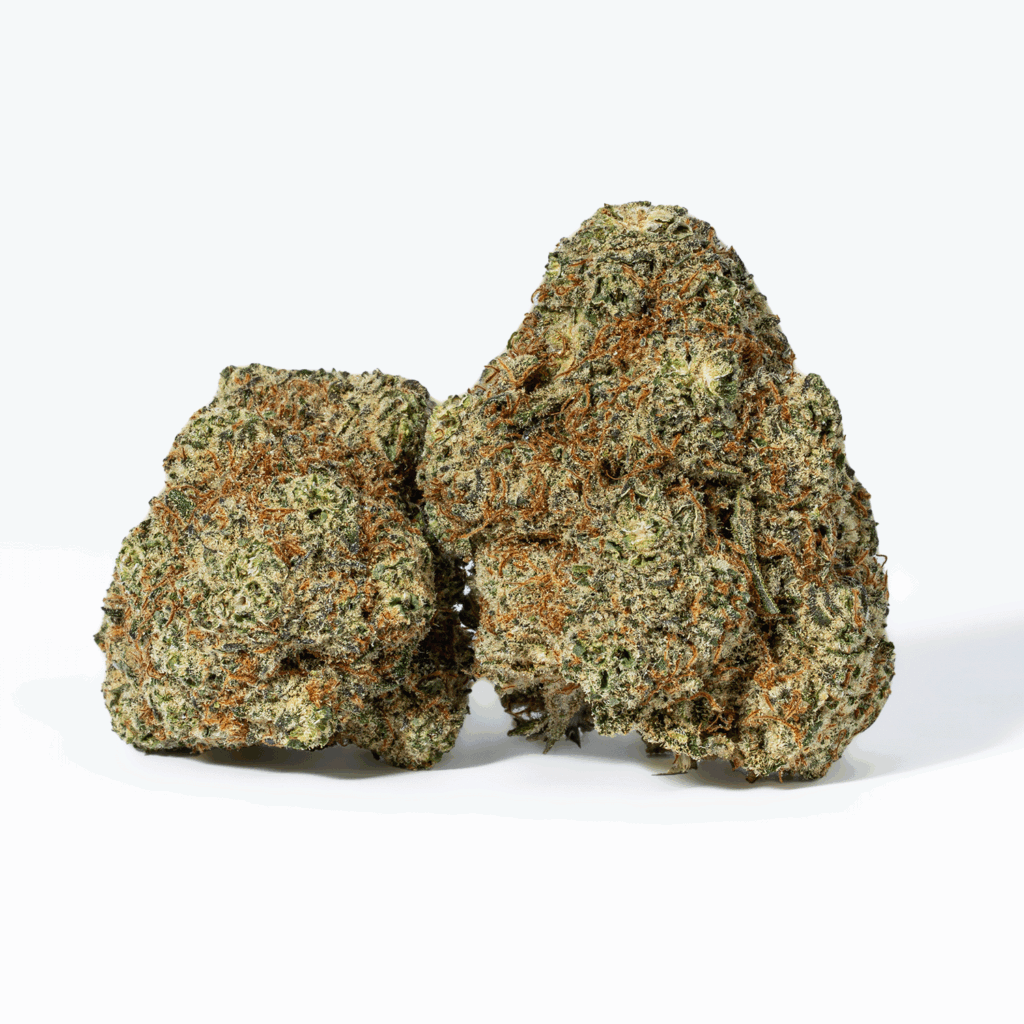 GCO