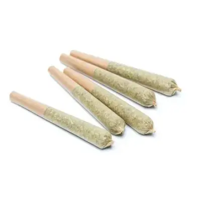 Scout - 5 Pack Pre-Rolls (0.5g) - Hybrid