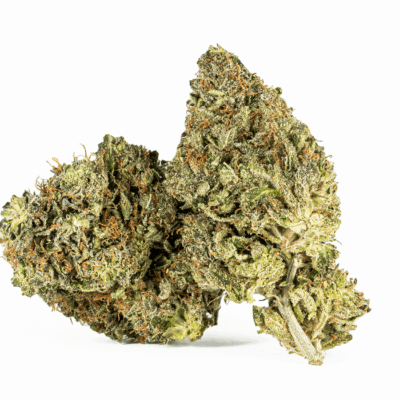 El Jefe (AAA+)