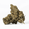 Nuken (AA+)