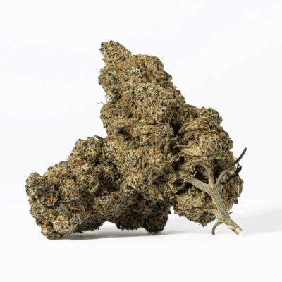 Nuken (AA+)