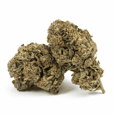 Dank Schrader (AAAA)