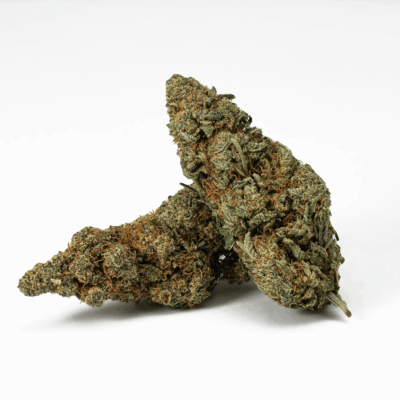 Frosty (AA+)