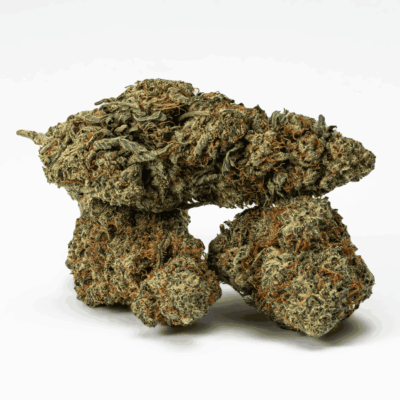 Frosty (AA+)