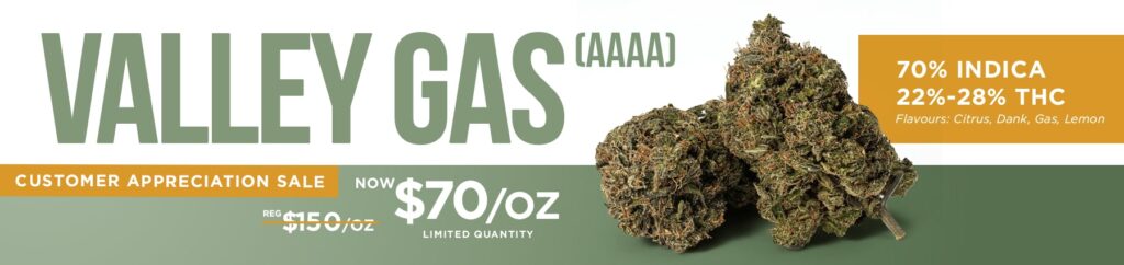 GCO