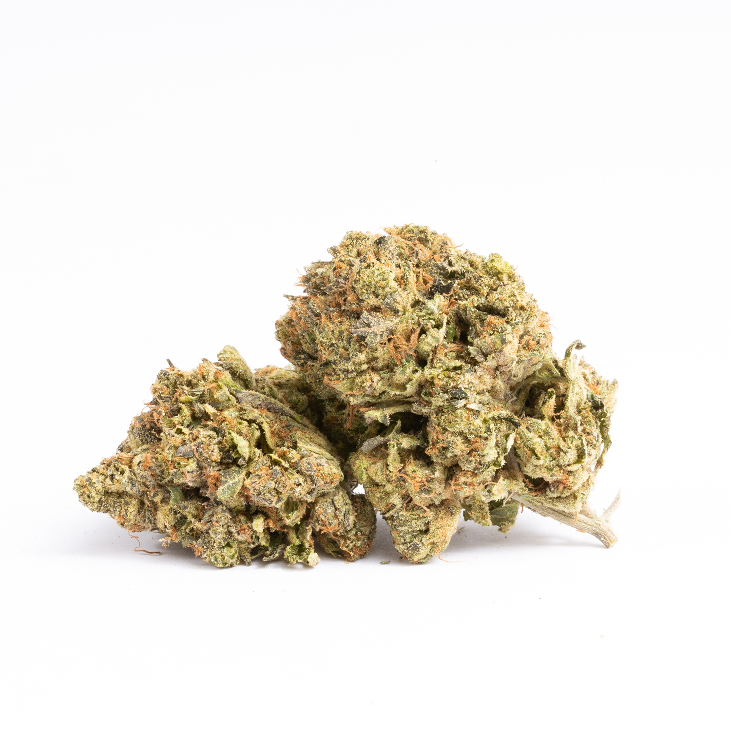 Astro Pink (AAA+) Astro Pink (AAA+)