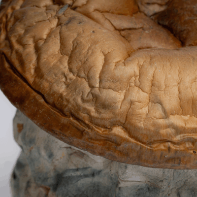 Dino Eggs Mushrooms