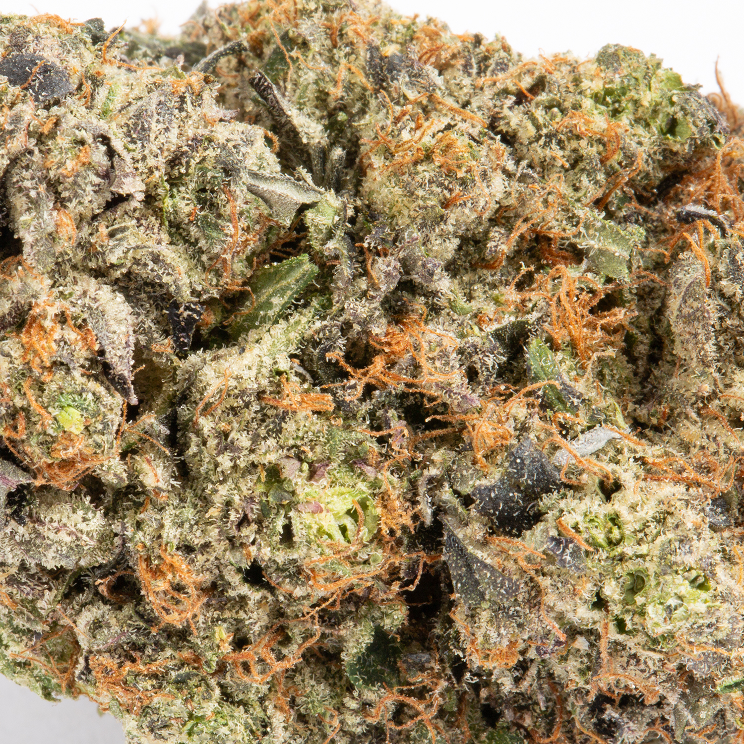 Double Purple Afgooey (Craft) Double Purple Afgooey (Craft)