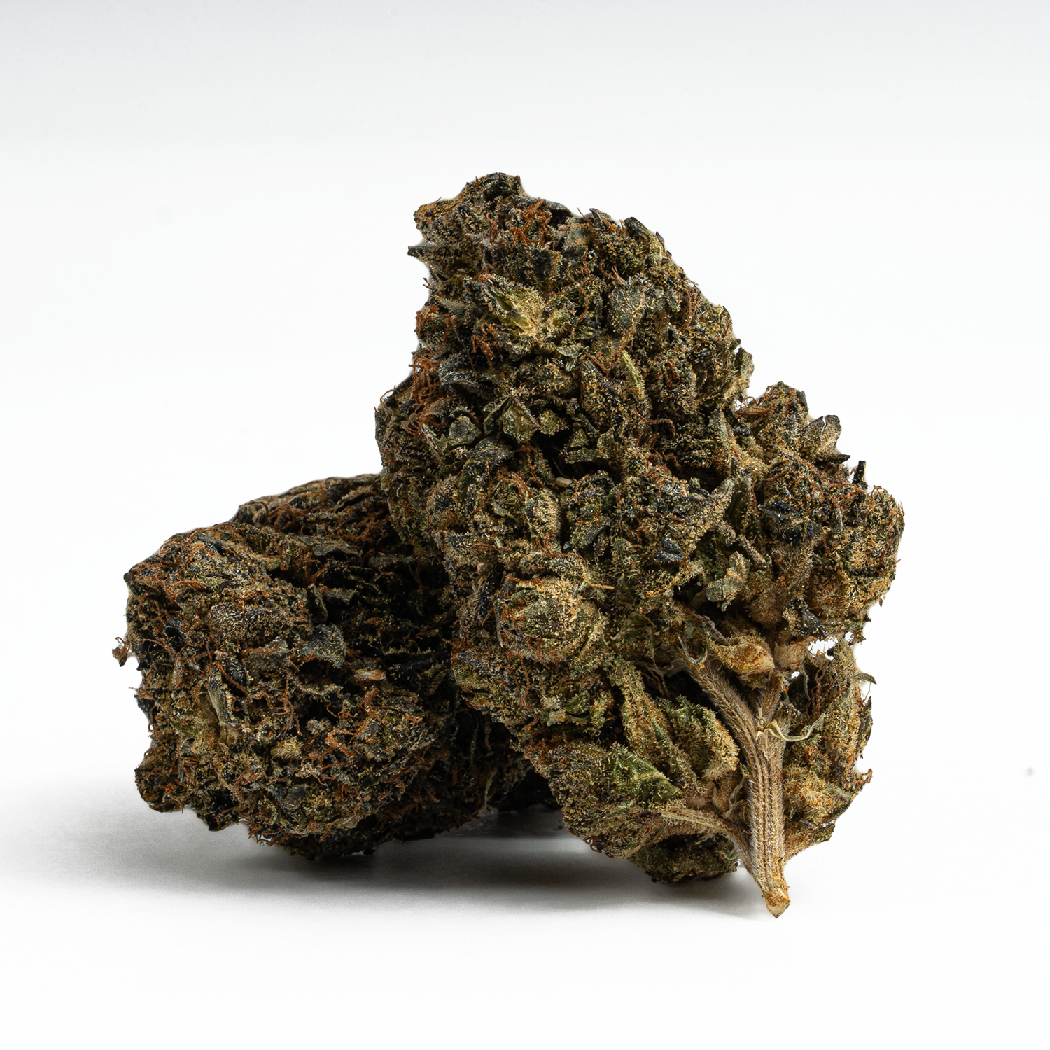 Gas Leak (AAA+) Gas Leak (AAA+)