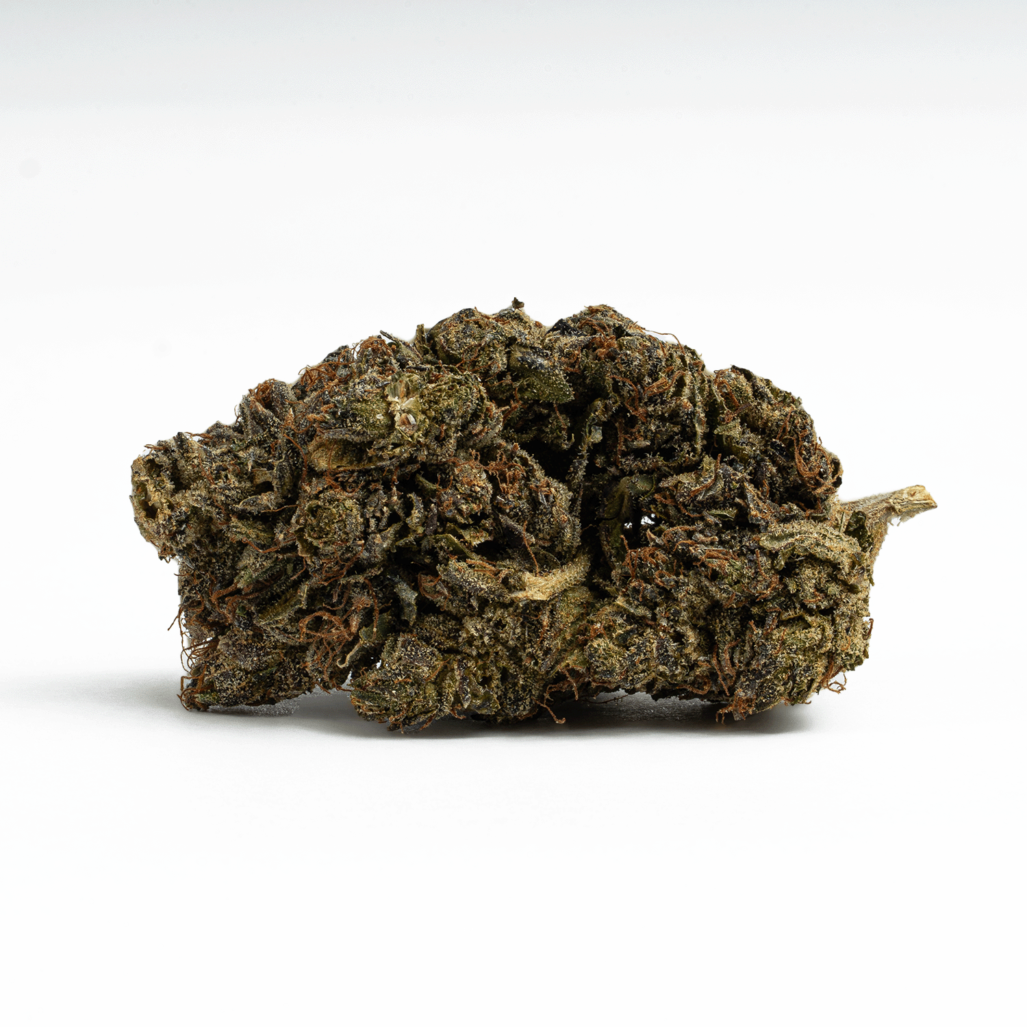 Gas Leak (AAA+) Gas Leak (AAA+)