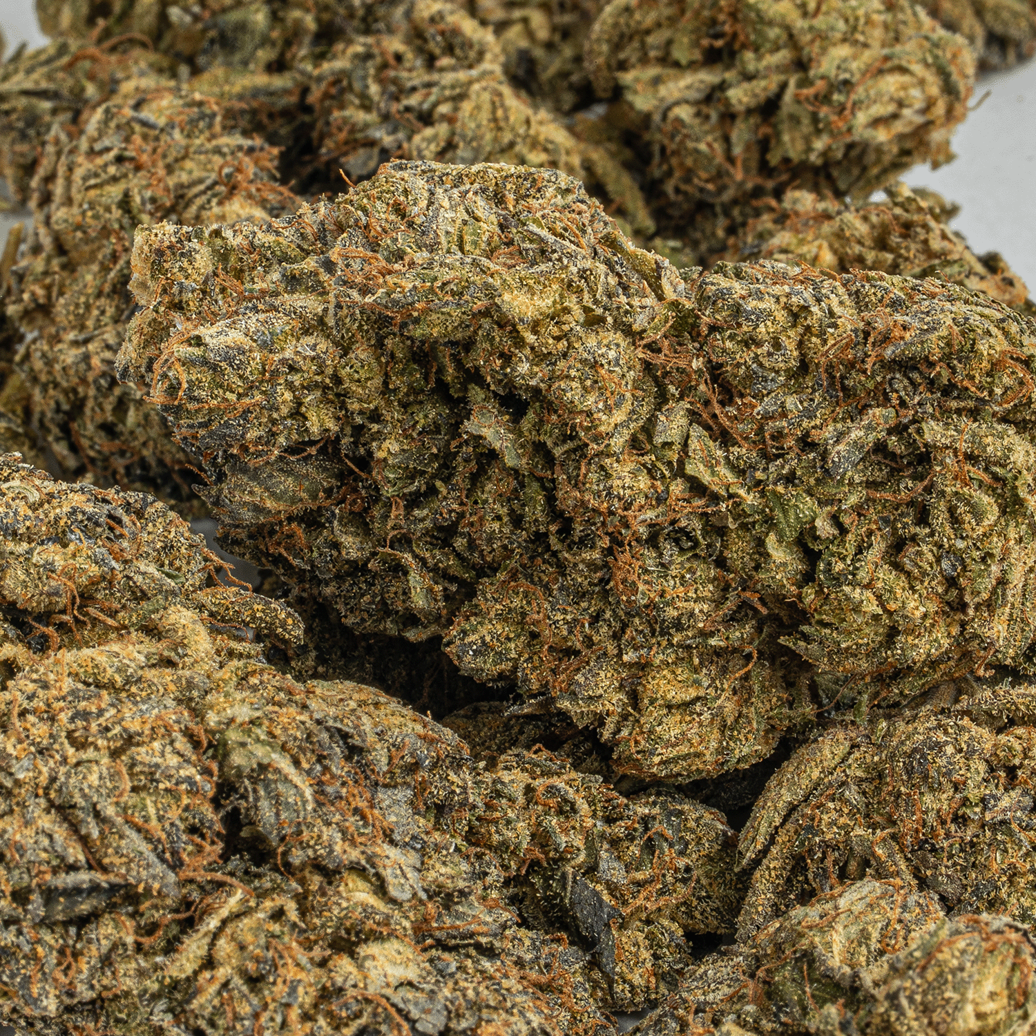 Gas Leak (AAA+) Gas Leak (AAA+)