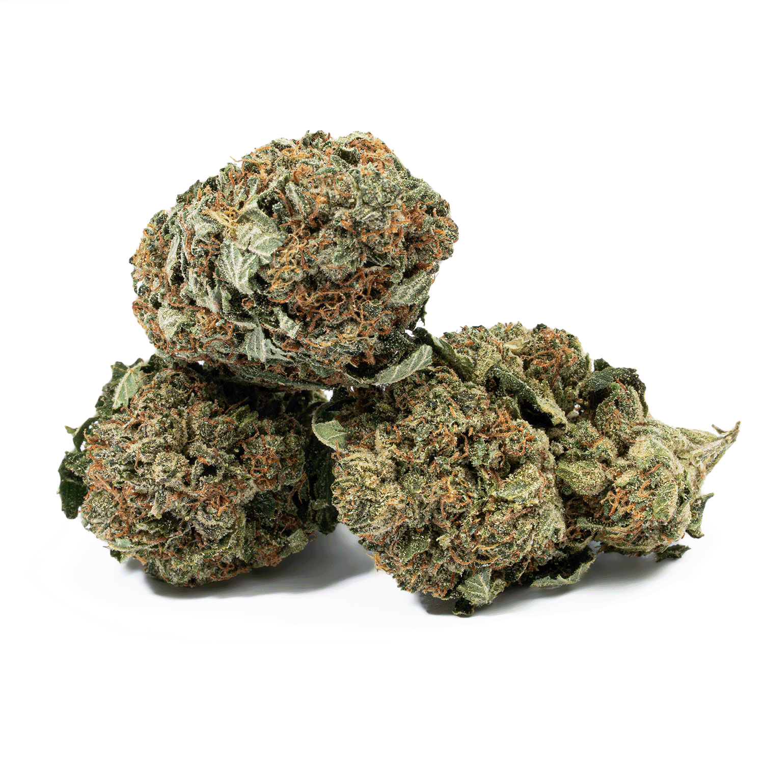 Glue Dream (AA) Glue Dream (AA)