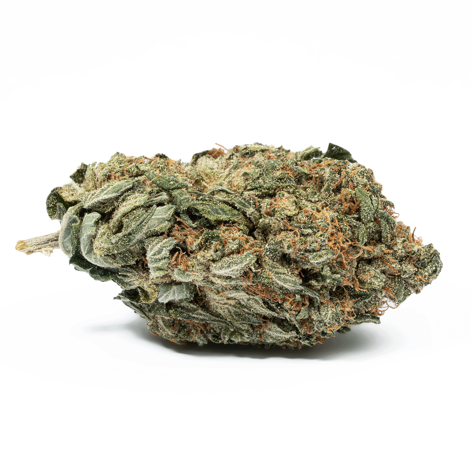 Glue Dream (AA) Glue Dream (AA)