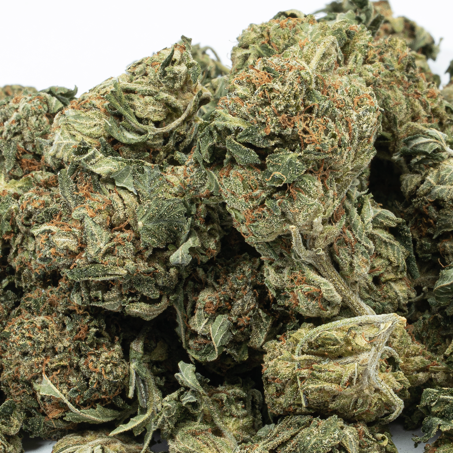 Glue Dream (AA) Glue Dream (AA)